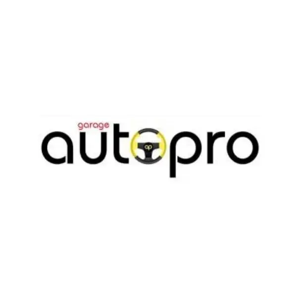 GaragePlug customer